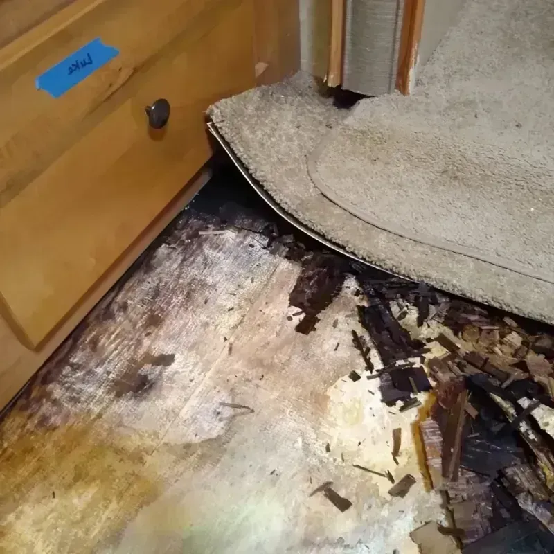 Best Wood Floor Water Damage Service in Franklin Furnace, OH